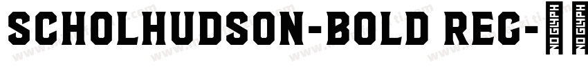 ScholHudson-Bold Reg字体转换